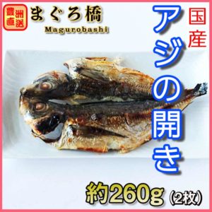 horse-mackerel01